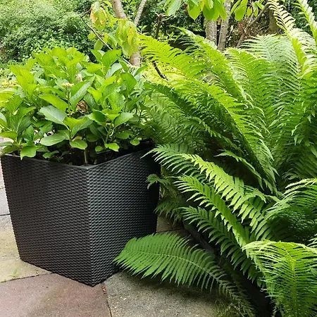 Stadtnahe Mit Garten Und Parkplatz *