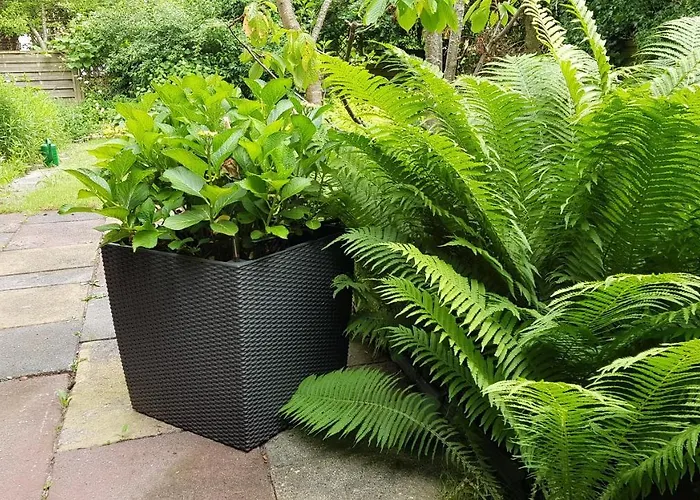 Stadtnahe Mit Garten Und Parkplatz *